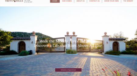 TreviHillsLiving-Web